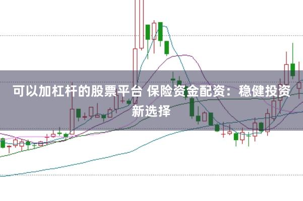 可以加杠杆的股票平台 保险资金配资：稳健投资新选择