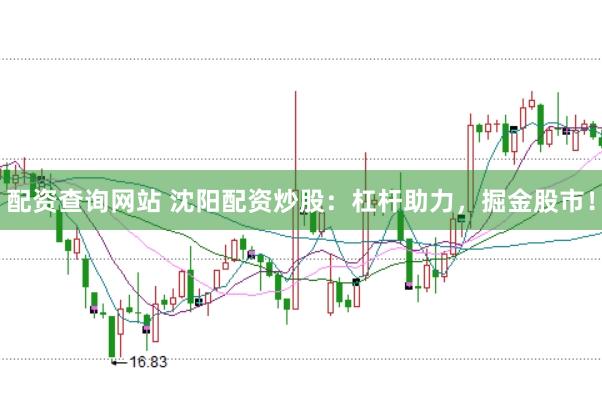 配资查询网站 沈阳配资炒股：杠杆助力，掘金股市！