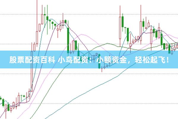 股票配资百科 小鸟配资：小额资金，轻松起飞！