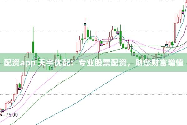 配资app 天宇优配：专业股票配资，助您财富增值