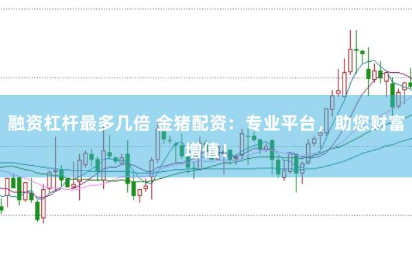 融资杠杆最多几倍 金猪配资：专业平台，助您财富增值！