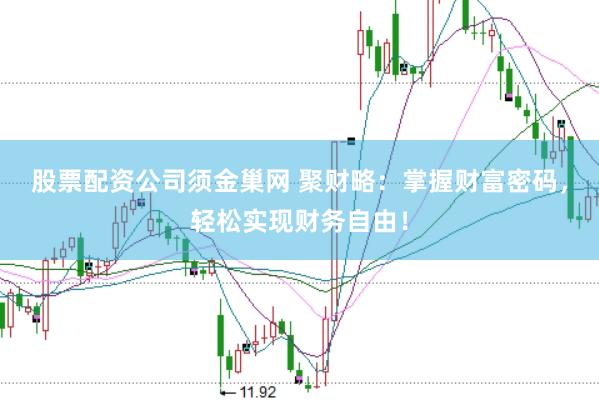 股票配资公司须金巢网 聚财略：掌握财富密码，轻松实现财务自由！