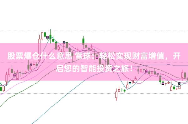 股票爆仓什么意思 雪球：轻松实现财富增值，开启您的智能投资之旅！