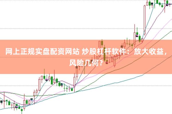 网上正规实盘配资网站 炒股杠杆软件：放大收益，风险几何？