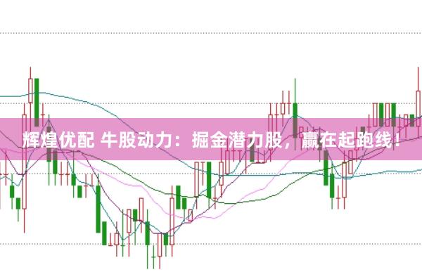 辉煌优配 牛股动力：掘金潜力股，赢在起跑线！