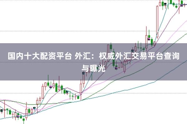 国内十大配资平台 外汇:权威外汇交易平台查询与曝光