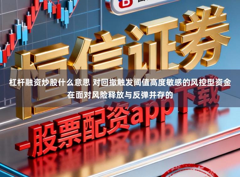 杠杆融资炒股什么意思 对回撤触发阈值高度敏感的风控型资金在面对风险释放与反弹并存的
